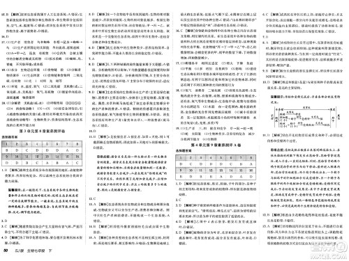 新疆青少年出版社2025年春神龙教育非常海淀单元测试AB卷七年级生物下册苏教版答案 新疆青少年出版社2025年春神龙教育非常海淀单元测试AB卷七年级生物下册苏教版答案