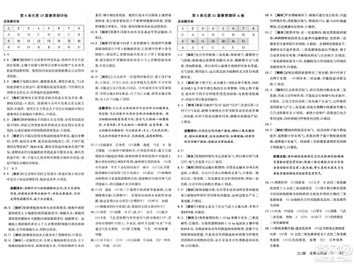 新疆青少年出版社2025年春神龙教育非常海淀单元测试AB卷七年级生物下册苏教版答案 新疆青少年出版社2025年春神龙教育非常海淀单元测试AB卷七年级生物下册苏教版答案