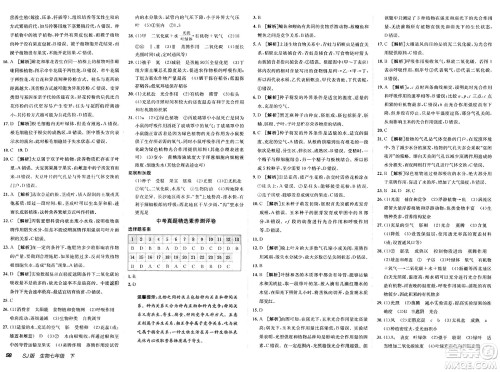 新疆青少年出版社2025年春神龙教育非常海淀单元测试AB卷七年级生物下册苏教版答案 新疆青少年出版社2025年春神龙教育非常海淀单元测试AB卷七年级生物下册苏教版答案