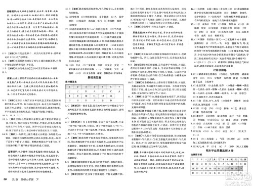 新疆青少年出版社2025年春神龙教育非常海淀单元测试AB卷七年级生物下册苏教版答案 新疆青少年出版社2025年春神龙教育非常海淀单元测试AB卷七年级生物下册苏教版答案