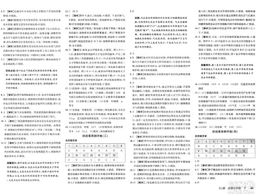 新疆青少年出版社2025年春神龙教育非常海淀单元测试AB卷七年级生物下册苏教版答案 新疆青少年出版社2025年春神龙教育非常海淀单元测试AB卷七年级生物下册苏教版答案