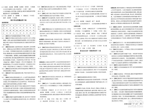 新疆青少年出版社2025年春神龙教育非常海淀单元测试AB卷七年级生物下册鲁科版答案