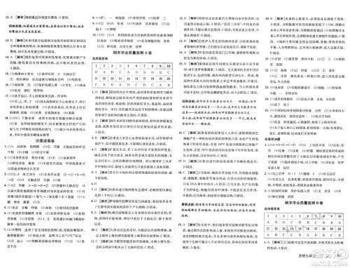 新疆青少年出版社2025年春神龙教育非常海淀单元测试AB卷七年级生物下册鲁科版答案