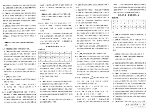 新疆青少年出版社2025年春神龙教育非常海淀单元测试AB卷七年级生物下册济南版答案 新疆青少年出版社2025年春神龙教育非常海淀单元测试AB卷七年级生物下册济南版答案