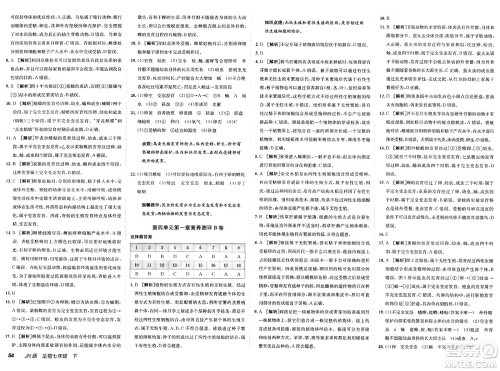 新疆青少年出版社2025年春神龙教育非常海淀单元测试AB卷七年级生物下册济南版答案 新疆青少年出版社2025年春神龙教育非常海淀单元测试AB卷七年级生物下册济南版答案