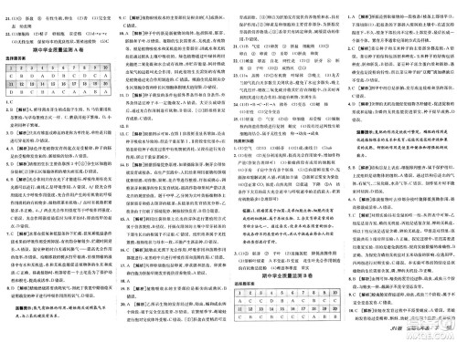 新疆青少年出版社2025年春神龙教育非常海淀单元测试AB卷七年级生物下册济南版答案 新疆青少年出版社2025年春神龙教育非常海淀单元测试AB卷七年级生物下册济南版答案