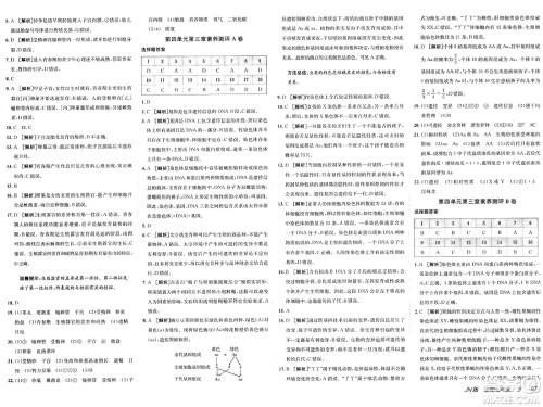新疆青少年出版社2025年春神龙教育非常海淀单元测试AB卷七年级生物下册济南版答案 新疆青少年出版社2025年春神龙教育非常海淀单元测试AB卷七年级生物下册济南版答案