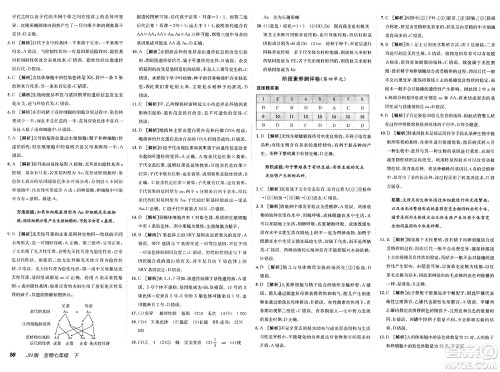 新疆青少年出版社2025年春神龙教育非常海淀单元测试AB卷七年级生物下册济南版答案 新疆青少年出版社2025年春神龙教育非常海淀单元测试AB卷七年级生物下册济南版答案