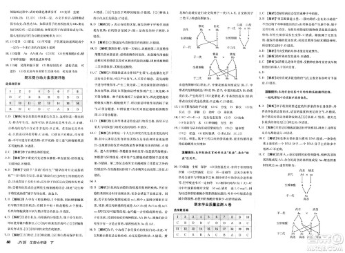 新疆青少年出版社2025年春神龙教育非常海淀单元测试AB卷七年级生物下册济南版答案 新疆青少年出版社2025年春神龙教育非常海淀单元测试AB卷七年级生物下册济南版答案