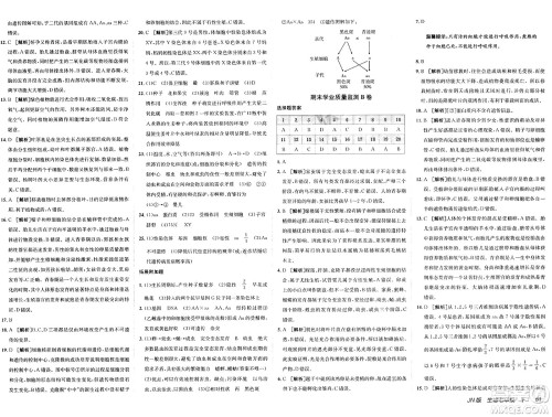 新疆青少年出版社2025年春神龙教育非常海淀单元测试AB卷七年级生物下册济南版答案 新疆青少年出版社2025年春神龙教育非常海淀单元测试AB卷七年级生物下册济南版答案