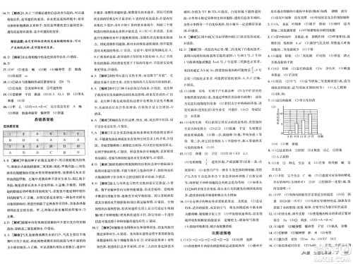 新疆青少年出版社2025年春神龙教育非常海淀单元测试AB卷七年级生物下册济南版答案 新疆青少年出版社2025年春神龙教育非常海淀单元测试AB卷七年级生物下册济南版答案