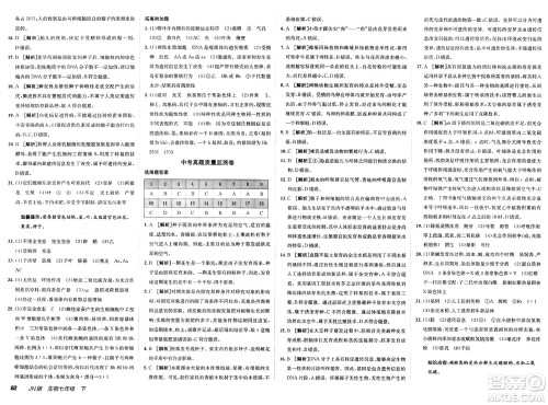 新疆青少年出版社2025年春神龙教育非常海淀单元测试AB卷七年级生物下册济南版答案 新疆青少年出版社2025年春神龙教育非常海淀单元测试AB卷七年级生物下册济南版答案