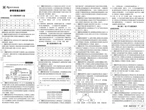 新疆青少年出版社2025年春神龙教育非常海淀单元测试AB卷七年级地理下册商务星球版答案