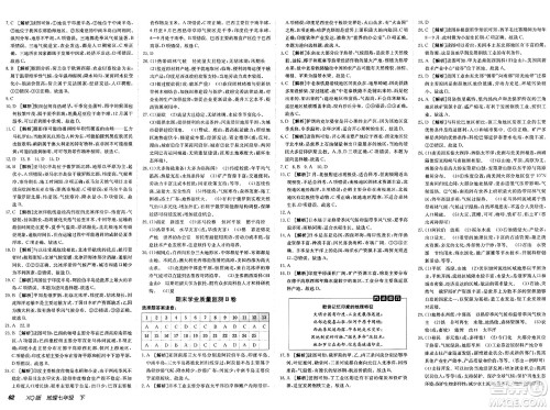新疆青少年出版社2025年春神龙教育非常海淀单元测试AB卷七年级地理下册商务星球版答案