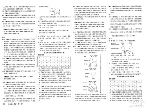 新疆青少年出版社2025年春神龙教育非常海淀单元测试AB卷八年级生物下册人教版答案