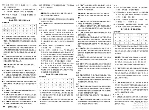 新疆青少年出版社2025年春神龙教育非常海淀单元测试AB卷八年级生物下册人教版答案