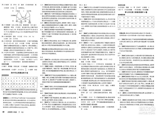 新疆青少年出版社2025年春神龙教育非常海淀单元测试AB卷八年级生物下册人教版答案