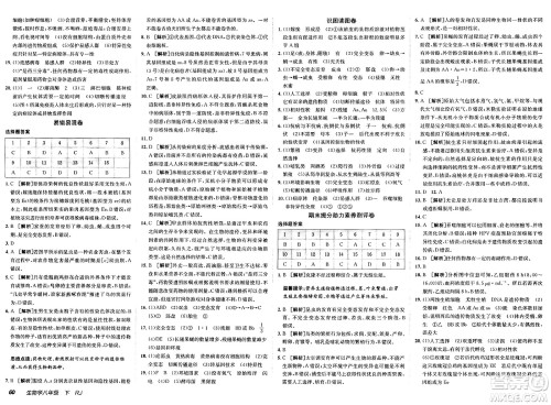 新疆青少年出版社2025年春神龙教育非常海淀单元测试AB卷八年级生物下册人教版答案