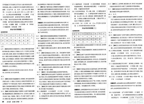 新疆青少年出版社2025年春神龙教育非常海淀单元测试AB卷八年级生物下册北师大版答案