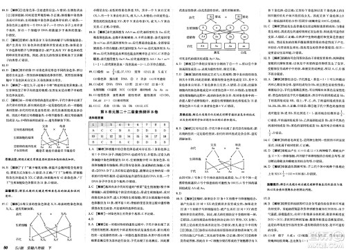 新疆青少年出版社2025年春神龙教育非常海淀单元测试AB卷八年级生物下册苏教版答案