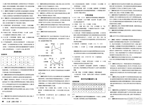 新疆青少年出版社2025年春神龙教育非常海淀单元测试AB卷八年级生物下册苏教版答案