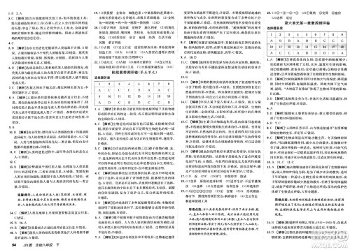 新疆青少年出版社2025年春神龙教育非常海淀单元测试AB卷八年级生物下册济南版答案
