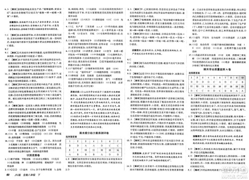 新疆青少年出版社2025年春神龙教育非常海淀单元测试AB卷八年级生物下册济南版答案