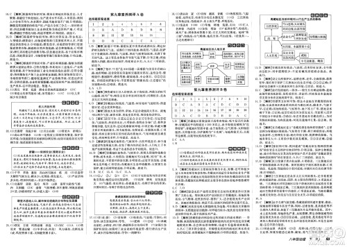 新疆青少年出版社2025年春神龙教育非常海淀单元测试AB卷八年级地理下册人教版答案