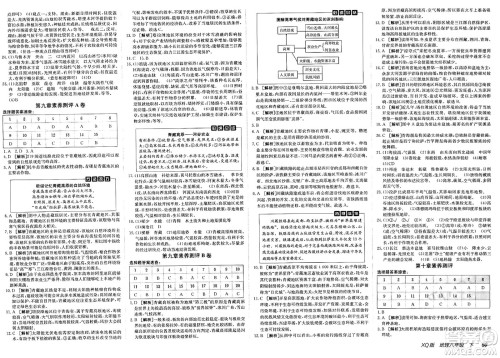 新疆青少年出版社2025年春神龙教育非常海淀单元测试AB卷八年级地理下册商务星球版答案