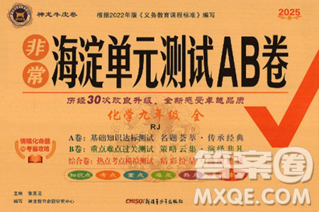 新疆青少年出版社2025年春神龙教育非常海淀单元测试AB卷九年级化学下册人教版答案