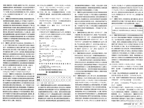 新疆青少年出版社2025年春神龙教育非常海淀单元测试AB卷九年级化学下册人教版答案