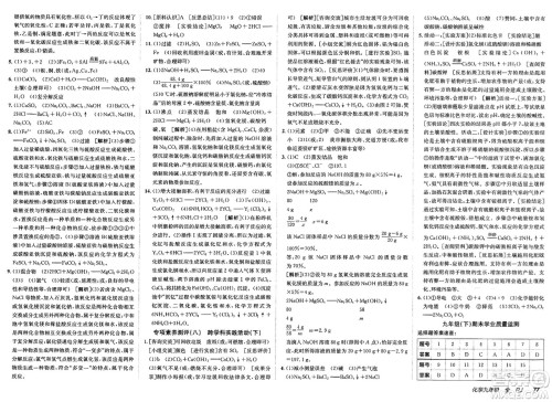 新疆青少年出版社2025年春神龙教育非常海淀单元测试AB卷九年级化学下册人教版答案