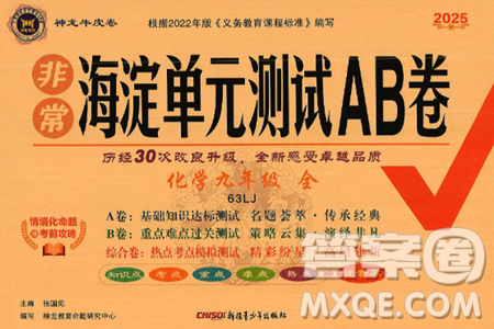 新疆青少年出版社2025年春神龙教育非常海淀单元测试AB卷九年级化学下册鲁教版答案 新疆青少年出版社2025年春神龙教育非常海淀单元测试AB卷九年级化学下册鲁教版答案