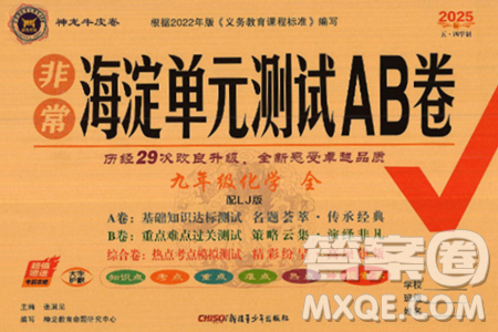 新疆青少年出版社2025年春神龙教育非常海淀单元测试AB卷九年级化学下册鲁教版五四制答案