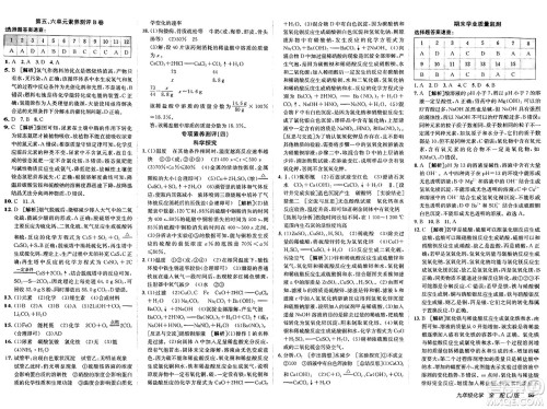 新疆青少年出版社2025年春神龙教育非常海淀单元测试AB卷九年级化学下册鲁教版五四制答案