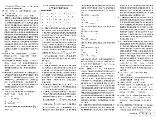 新疆青少年出版社2025年春神龙教育非常海淀单元测试AB卷九年级化学下册鲁教版五四制答案