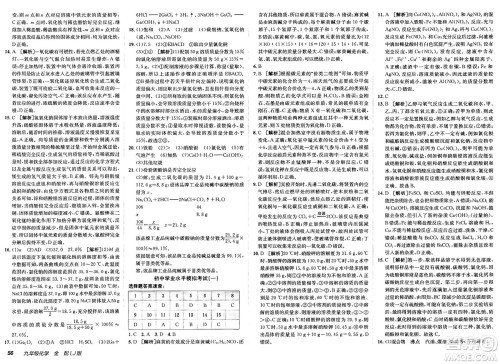 新疆青少年出版社2025年春神龙教育非常海淀单元测试AB卷九年级化学下册鲁教版五四制答案