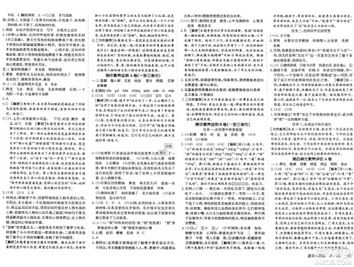 新疆青少年出版社2025年春神龙教育非常海淀单元测试AB卷六年级语文下册人教版答案