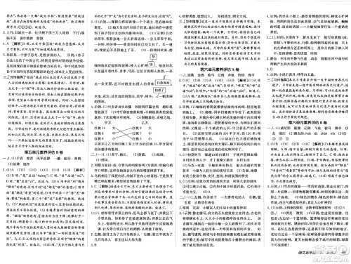 新疆青少年出版社2025年春神龙教育非常海淀单元测试AB卷五年级语文下册人教版五四制答案