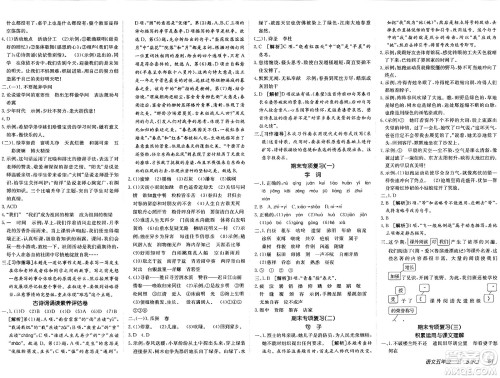 新疆青少年出版社2025年春神龙教育非常海淀单元测试AB卷五年级语文下册人教版五四制答案