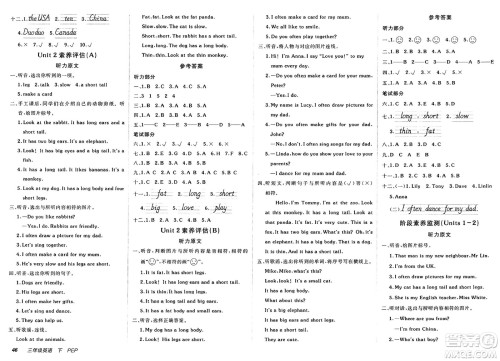 新疆青少年出版社2025年春神龙教育非常海淀单元测试AB卷三年级英语下册人教PEP版答案