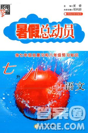 宁夏人民教育出版社2025年经纶学霸暑假总动员七年级语文全册通用版答案