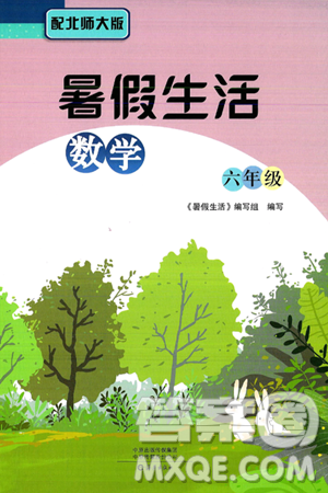 海燕出版社2025年暑假生活六年级数学全册北师大版答案