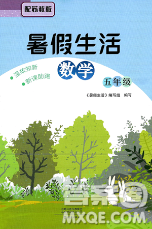 海燕出版社2025年暑假生活五年级数学全册苏教版答案