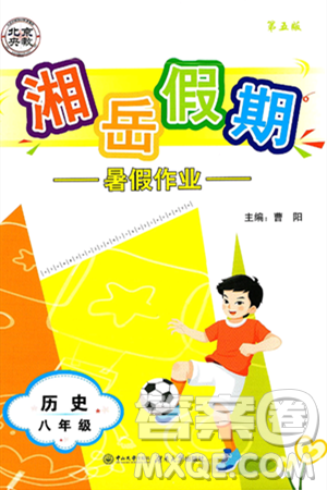 湖南大学出版社2025年北京央教湘岳假期暑假作业八年级历史全册人教版答案