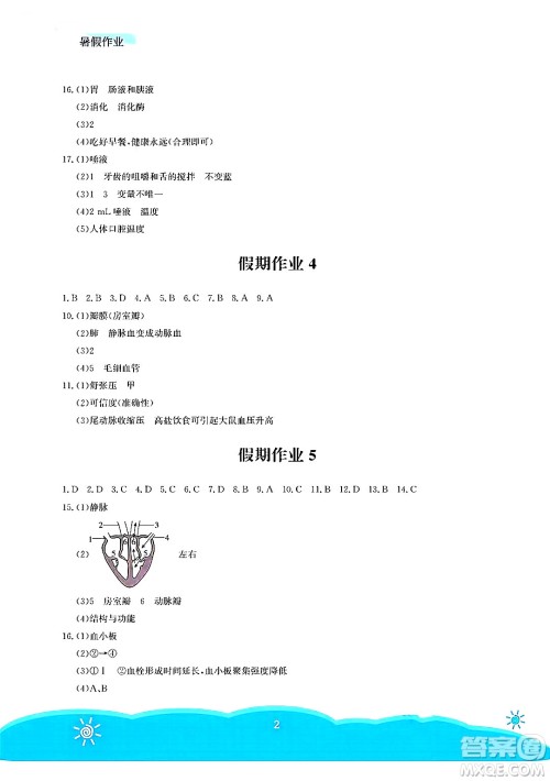 安徽教育出版社2025年暑假作业七年级生物全册北师大版答案