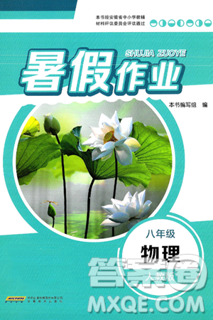 安徽教育出版社2025年暑假作业八年级物理全册人教版答案