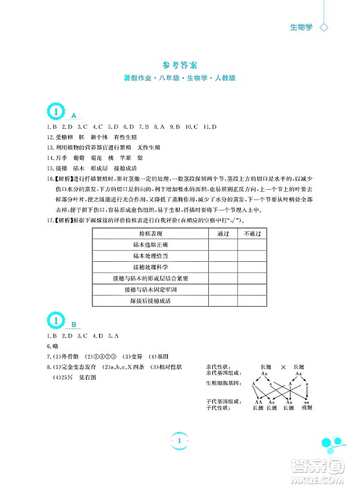 安徽教育出版社2025年暑假作业八年级生物全册人教版答案 安徽教育出版社2025年暑假作业八年级生物全册人教版答案
