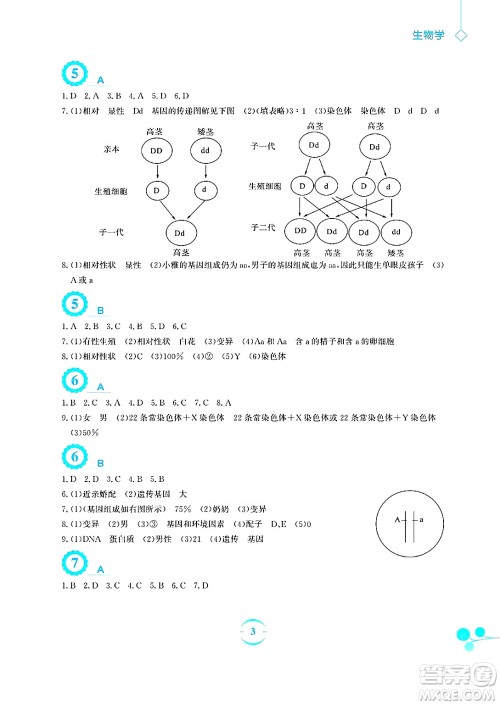 安徽教育出版社2025年暑假作业八年级生物全册苏教版答案