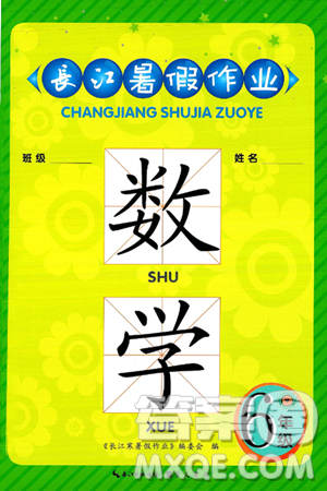 崇文书局2025年长江暑假作业六年级数学全册通用版答案